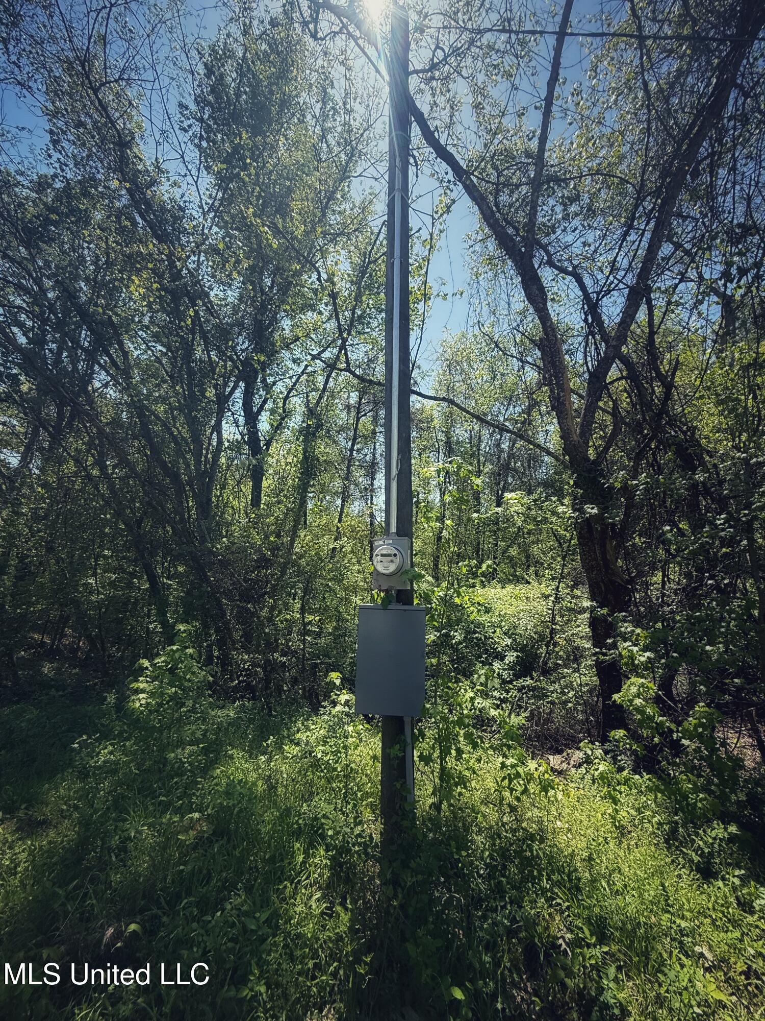 Holly Grove Cruger, MS 38924 - Photo 24 of 43 IMG_8497