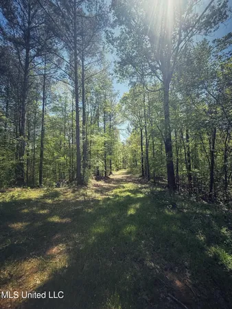 $282,700 | Holly Grove, Cruger, MS 38924