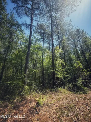 $282,700 | Holly Grove, Cruger, MS 38924