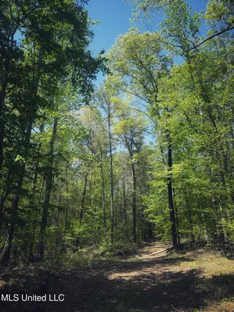 $282,700 | Holly Grove, Cruger, MS 38924