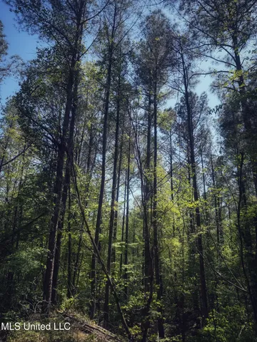 $282,700 | Holly Grove, Cruger, MS 38924