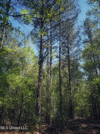 $282,700 | Holly Grove, Cruger, MS 38924