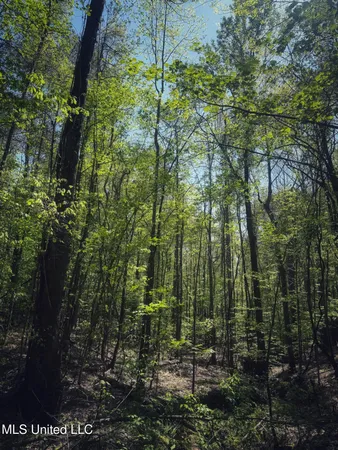 $282,700 | Holly Grove, Cruger, MS 38924