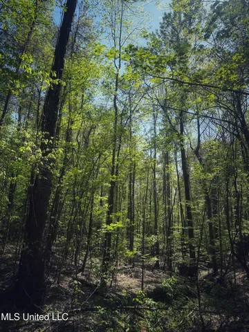 $282,700 | Holly Grove, Cruger, MS 38924