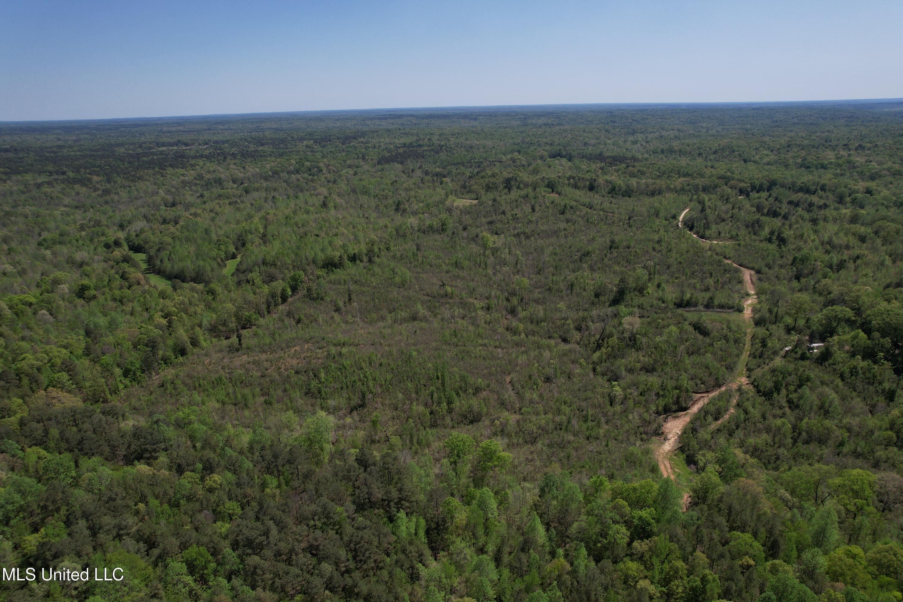 Holly Grove Cruger, MS 38924 - Photo 3 of 43 DJI_0684
