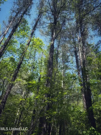 $282,700 | Holly Grove, Cruger, MS 38924