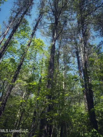 $282,700 | Holly Grove, Cruger, MS 38924