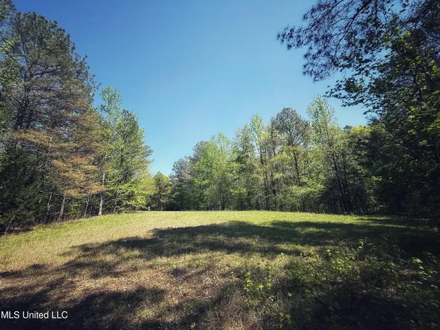 $282,700 | Holly Grove, Cruger, MS 38924