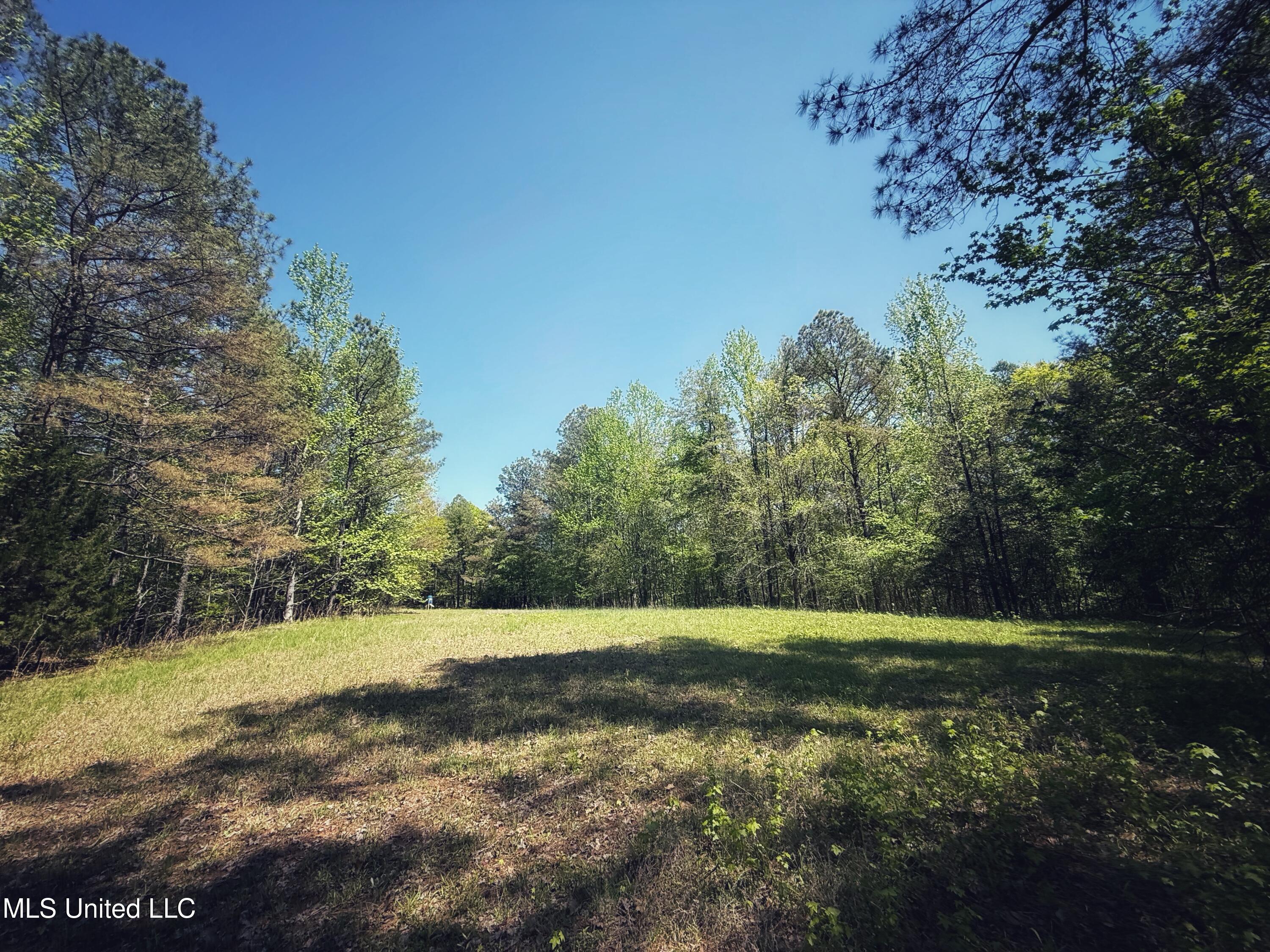 Holly Grove Cruger, MS 38924 - Photo 34 of 43 IMG_8522