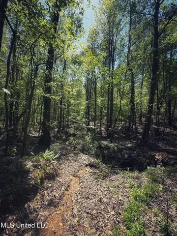 $282,700 | Holly Grove, Cruger, MS 38924