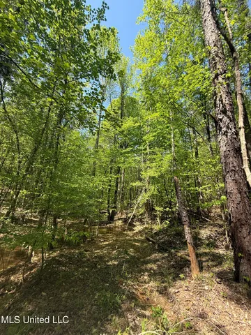 $282,700 | Holly Grove, Cruger, MS 38924