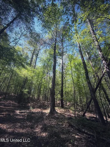 $282,700 | Holly Grove, Cruger, MS 38924