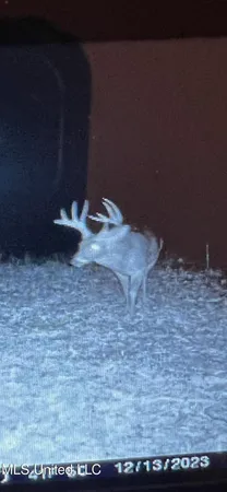 $282,700 | Holly Grove, Cruger, MS 38924