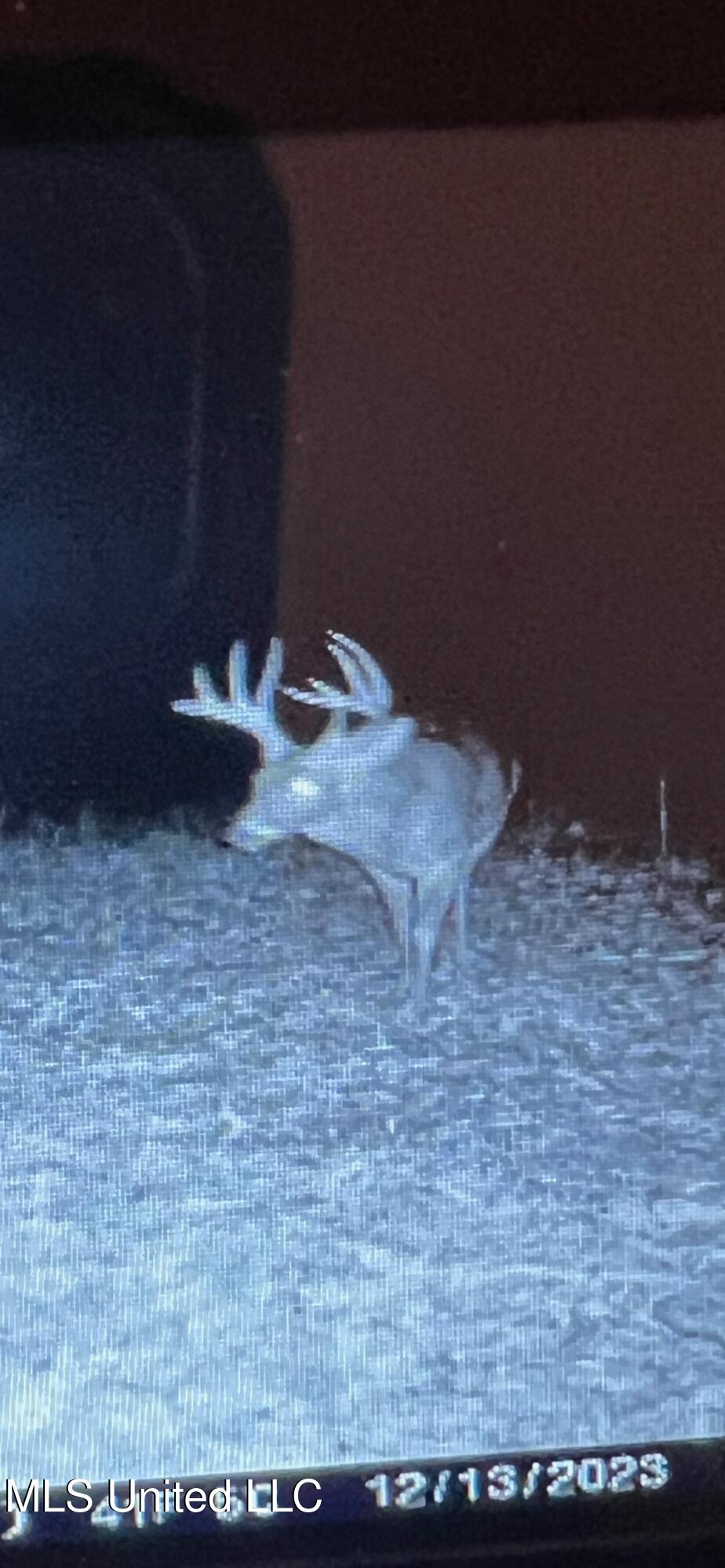 Holly Grove Cruger, MS 38924 - Photo 40 of 43 IMG_8645