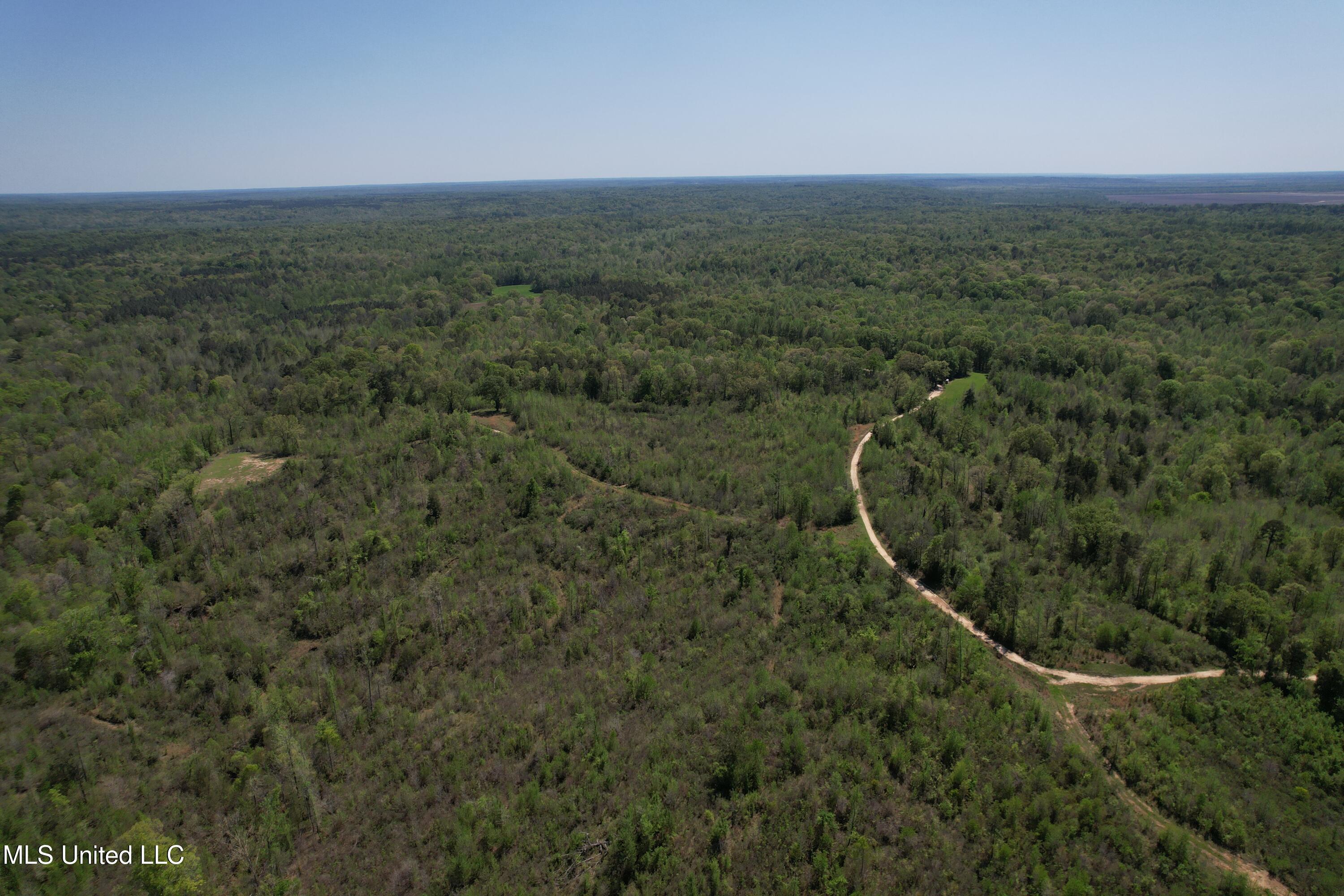 Holly Grove Cruger, MS 38924 - Photo 4 of 43 DJI_0685