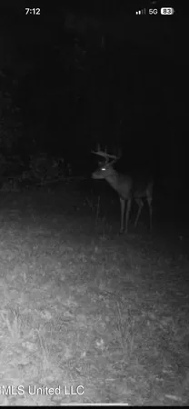 $282,700 | Holly Grove, Cruger, MS 38924