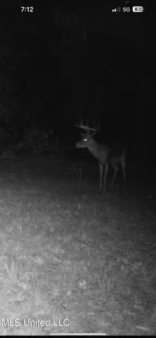 $282,700 | Holly Grove, Cruger, MS 38924