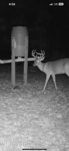 $282,700 | Holly Grove, Cruger, MS 38924