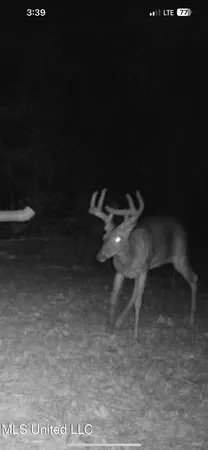 $282,700 | Holly Grove, Cruger, MS 38924