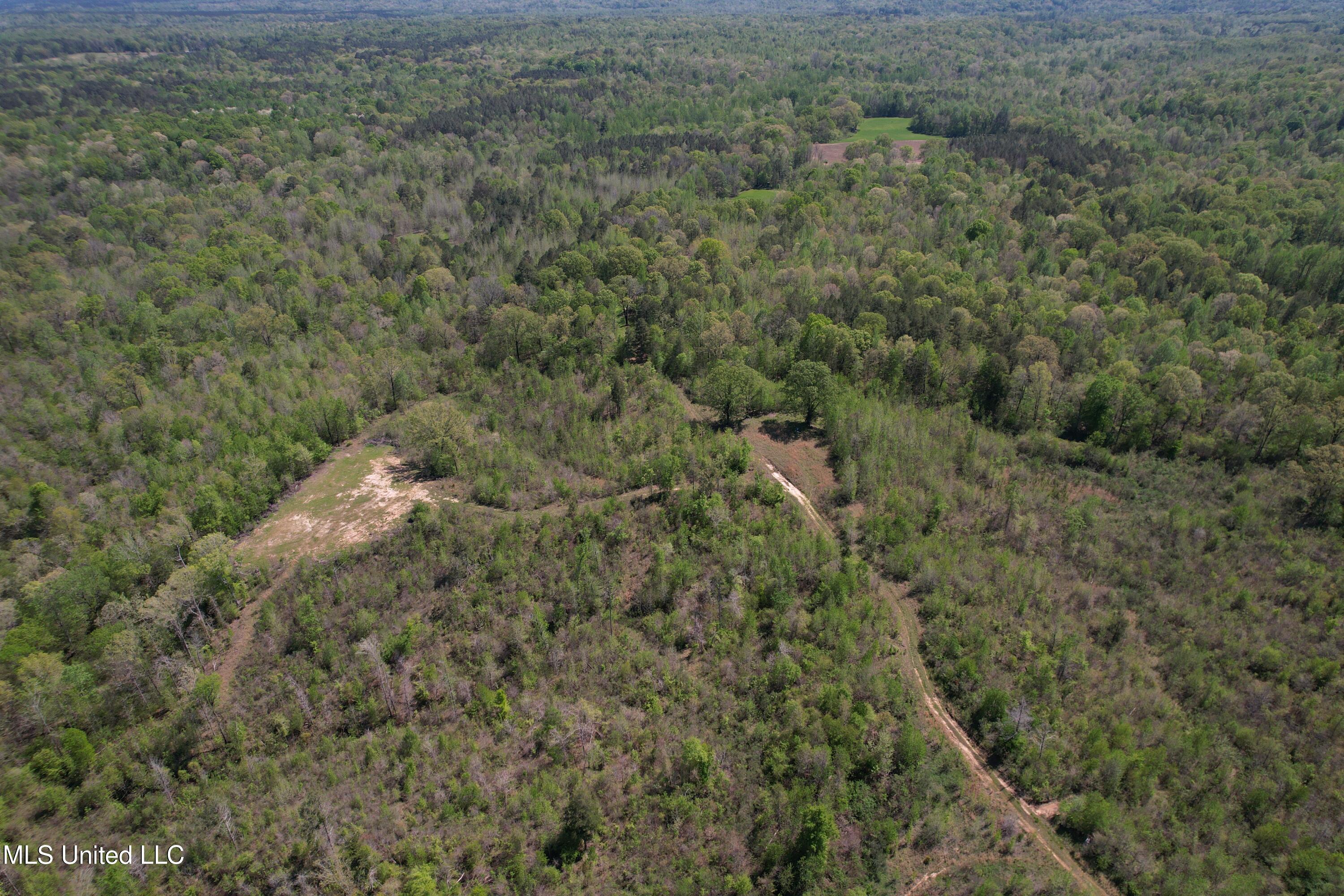 Holly Grove Cruger, MS 38924 - Photo 5 of 43 DJI_0686