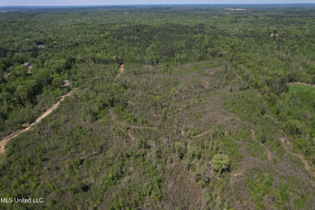 $282,700 | Holly Grove, Cruger, MS 38924