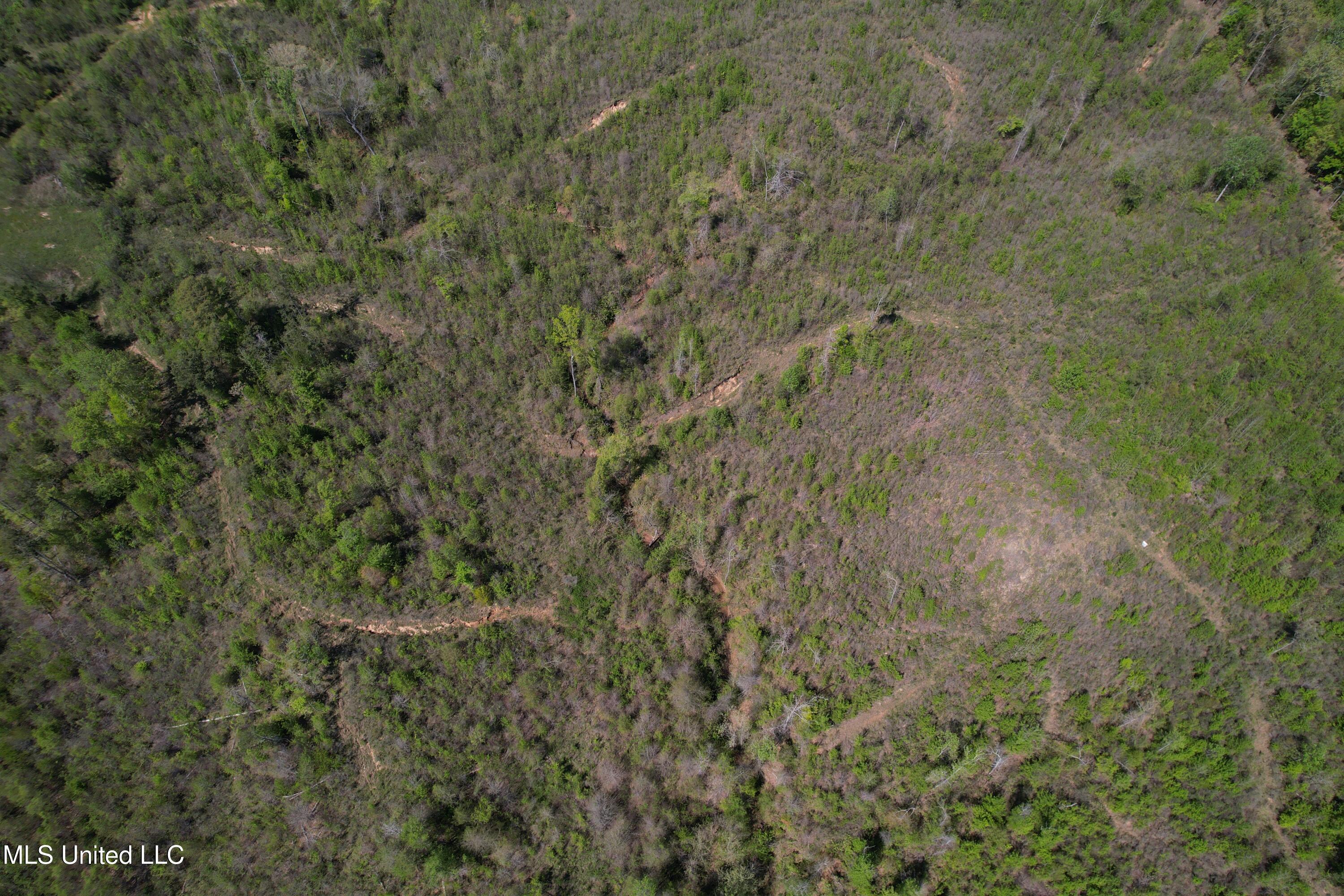 Holly Grove Cruger, MS 38924 - Photo 7 of 43 DJI_0688