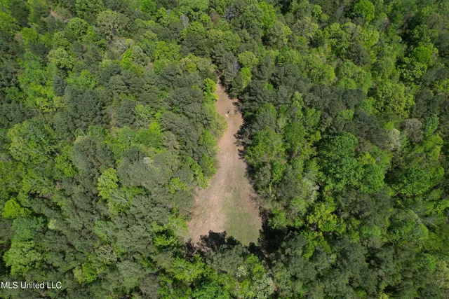 $282,700 | Holly Grove, Cruger, MS 38924