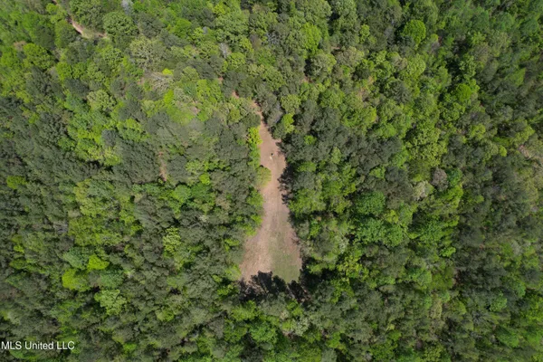 $282,700 | Holly Grove, Cruger, MS 38924