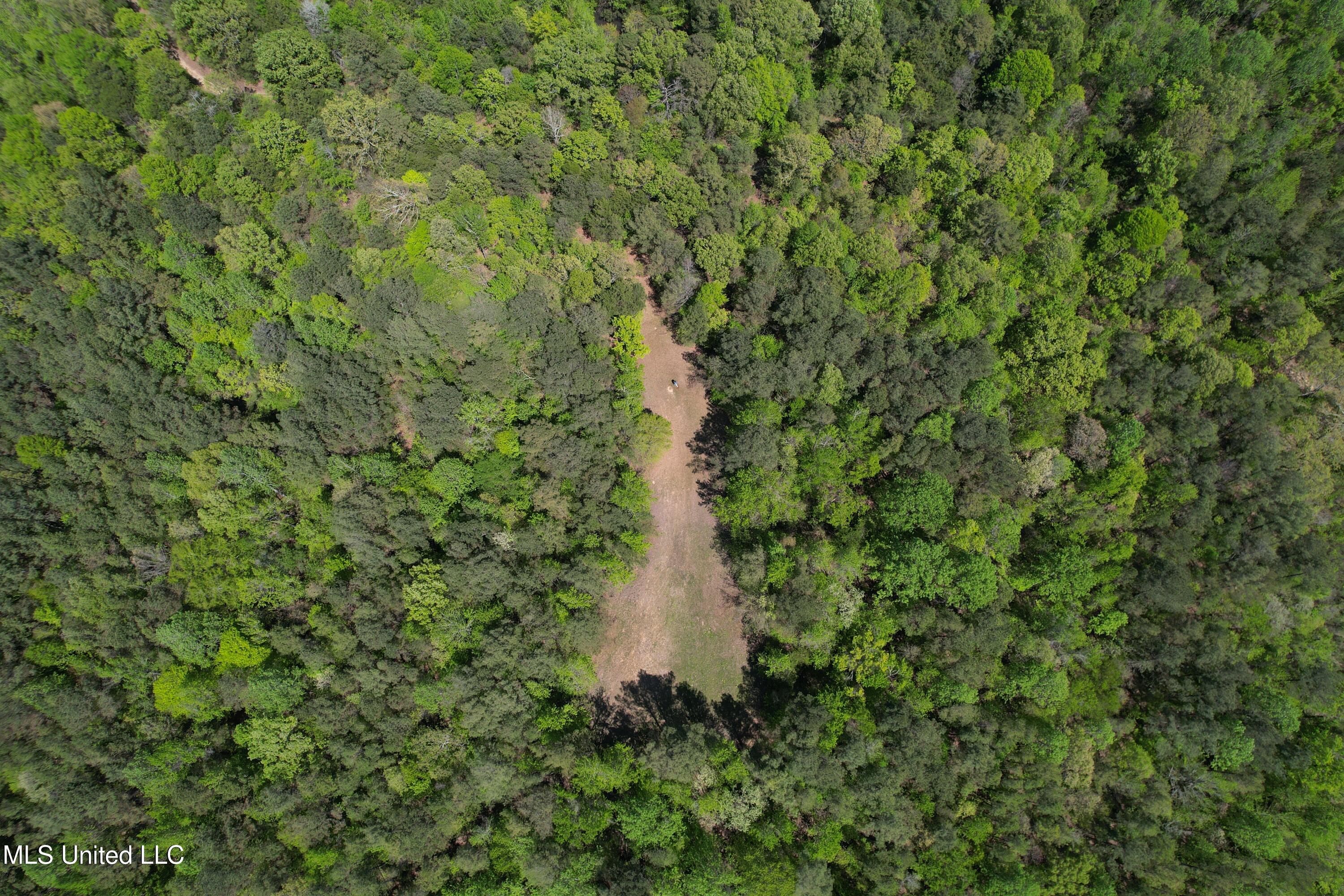 Holly Grove Cruger, MS 38924 - Photo 9 of 43 DJI_0690