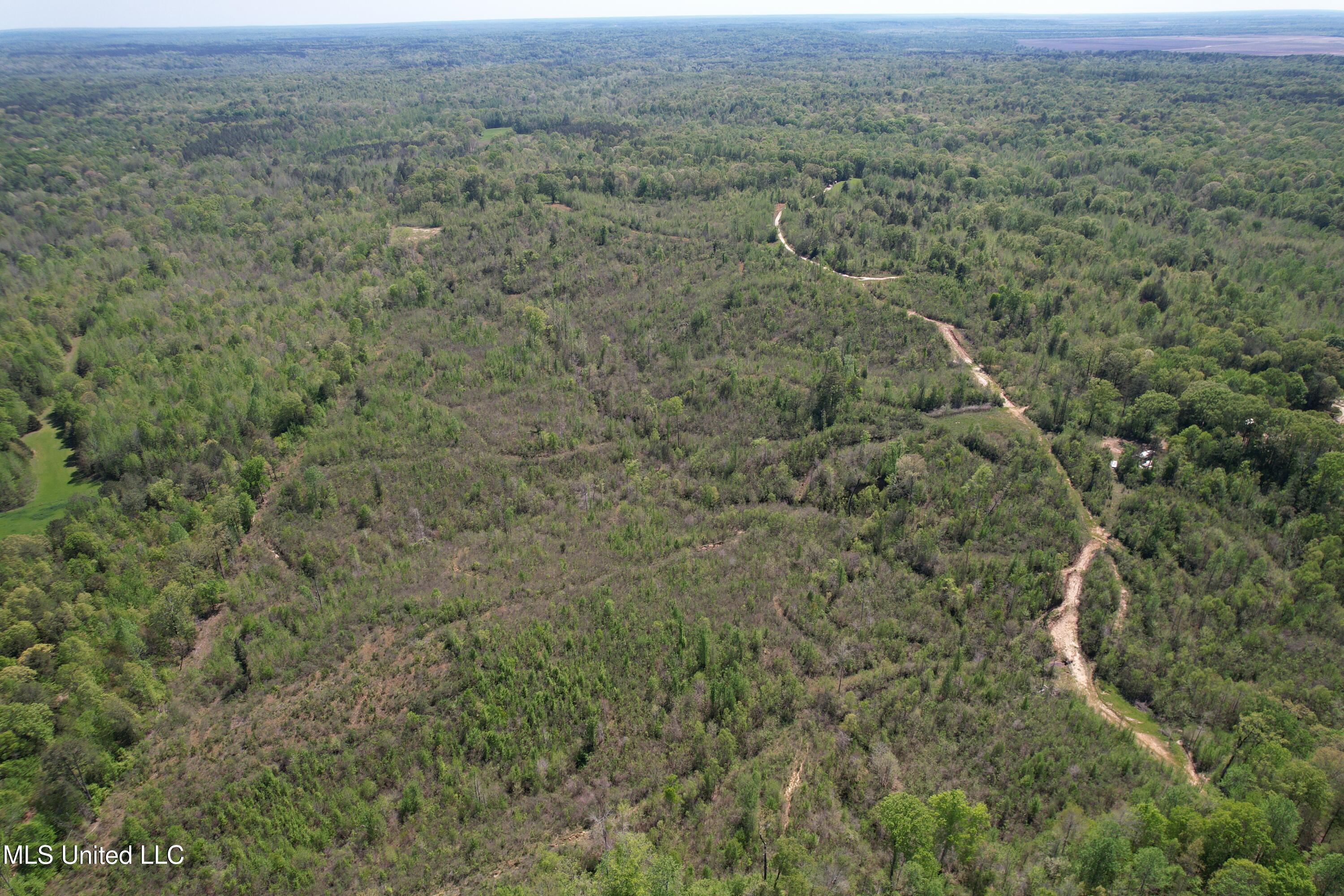 Holly Grove Cruger, MS 38924 - Photo 10 of 43 DJI_0691