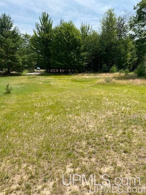 7752 R.75 Lane Rapid River, MI 49878 - Photo 3 of 9