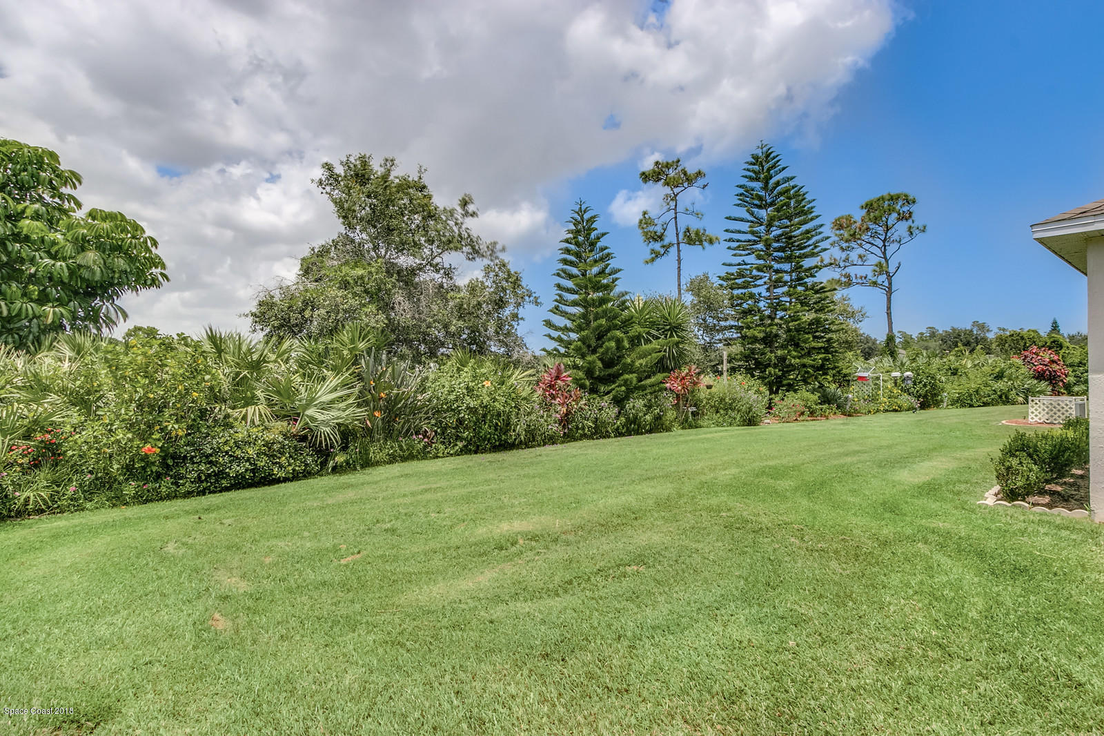 2009 Redwood Circle Palm Bay, FL 32905 - Photo 8 of 32 a view of a yard with an tree