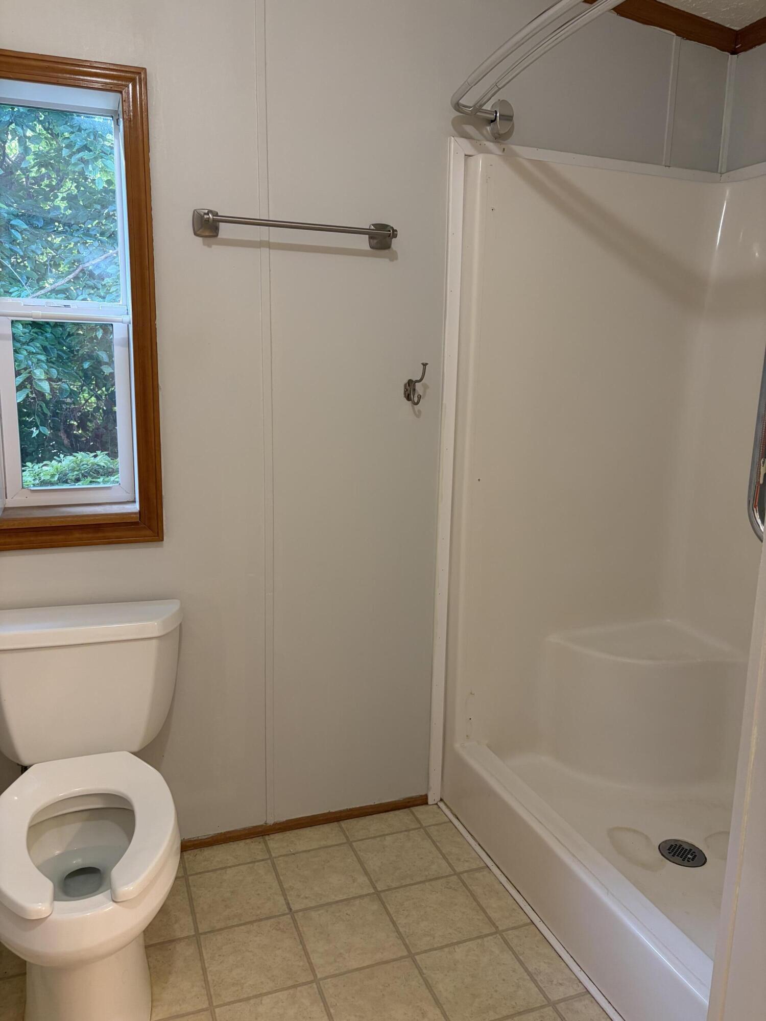 100 River Creek Road Wirtz, VA 24184 - Photo 22 of 32 primary bath 2