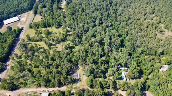 a view of a garden with a plant