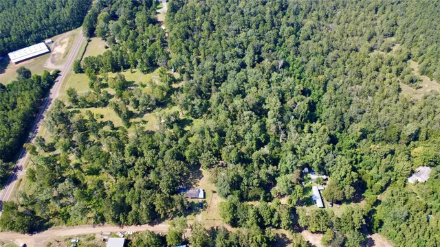 a view of a garden with a plant