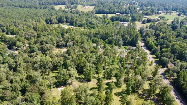 a view of a forest with a yard