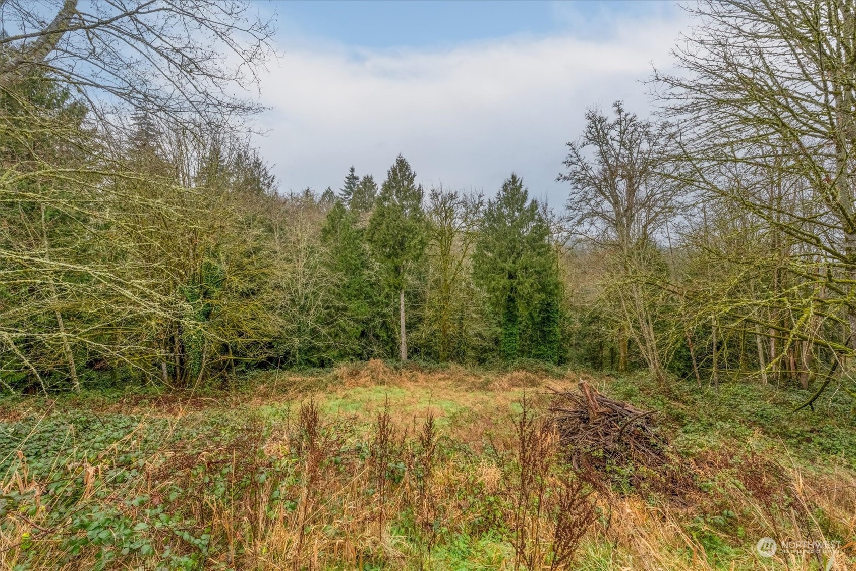 0 Olson Road Longview, WA 98632 - Photo 1 of 19 Gallery Image 1
