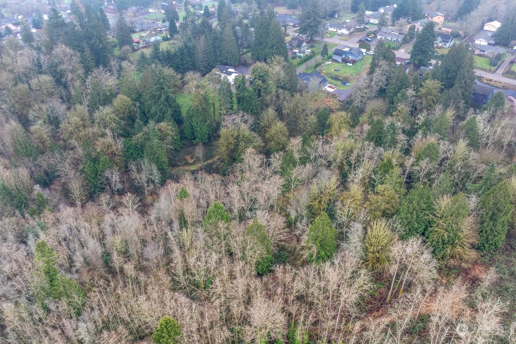 0 Olson Road Longview, WA 98632 - Photo 15 of 19 Gallery Image 15