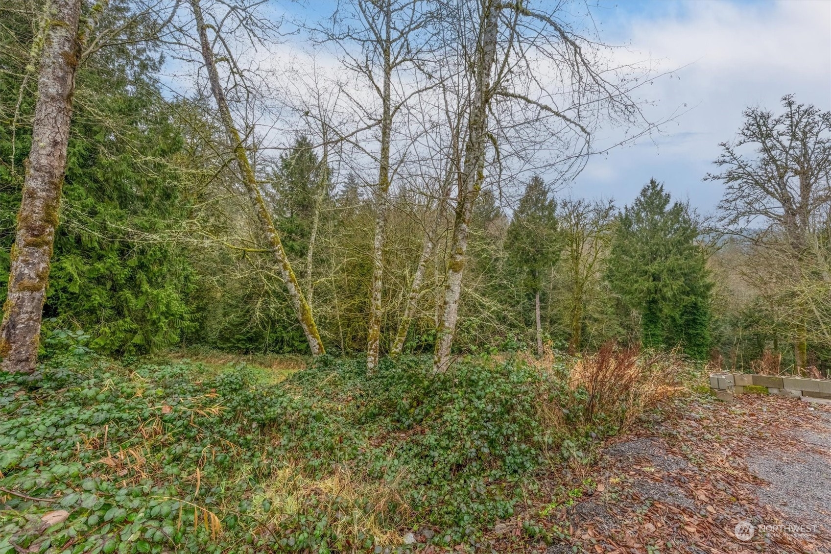 0 Olson Road Longview, WA 98632 - Photo 2 of 19 Gallery Image 2