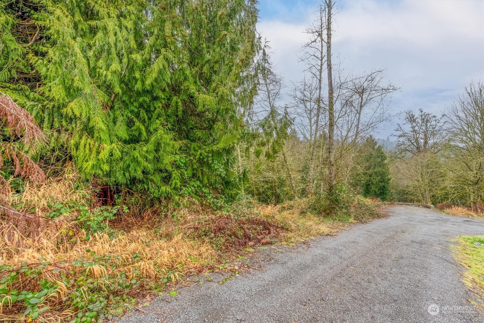 0 Olson Road Longview, WA 98632 - Photo 3 of 19 Gallery Image 3