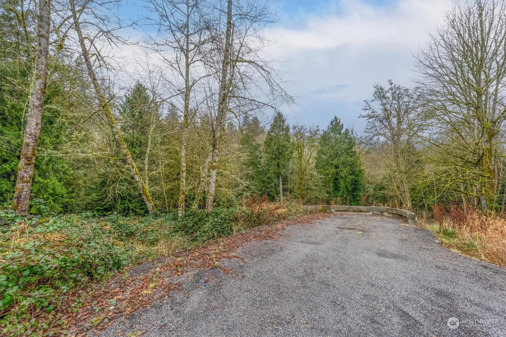 0 Olson Road Longview, WA 98632 - Photo 5 of 19 Gallery Image 5