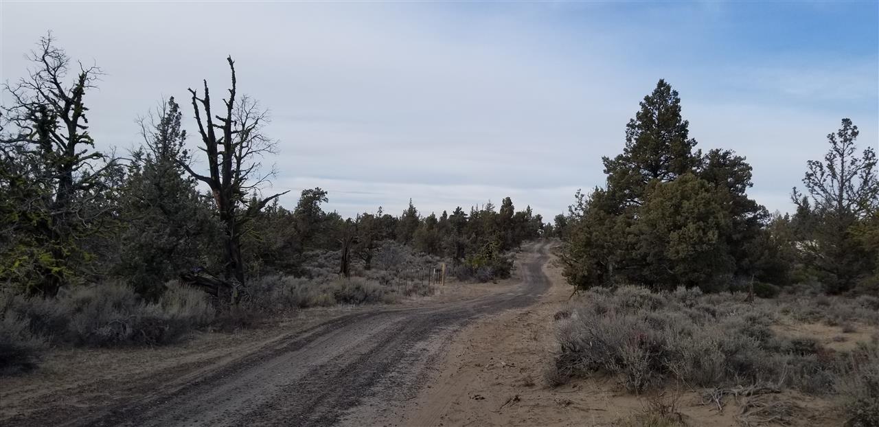 23 Pine Top Road Weed, CA 96094 - Photo 9 of 13 Gallery Image 9