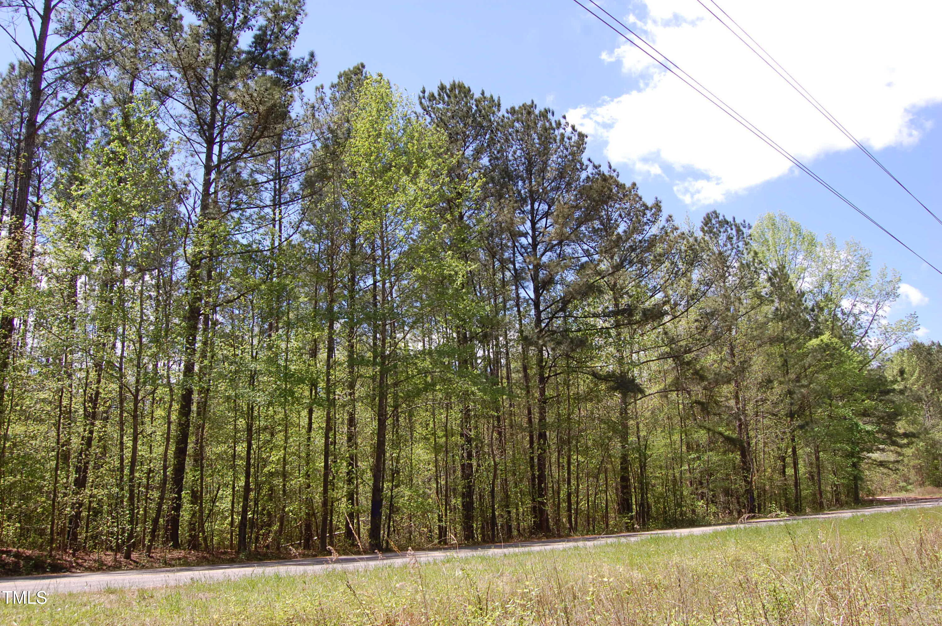 0 Egypt Mountain Road Kittrell, NC 27544 - Photo 2 of 13 a view of a yard