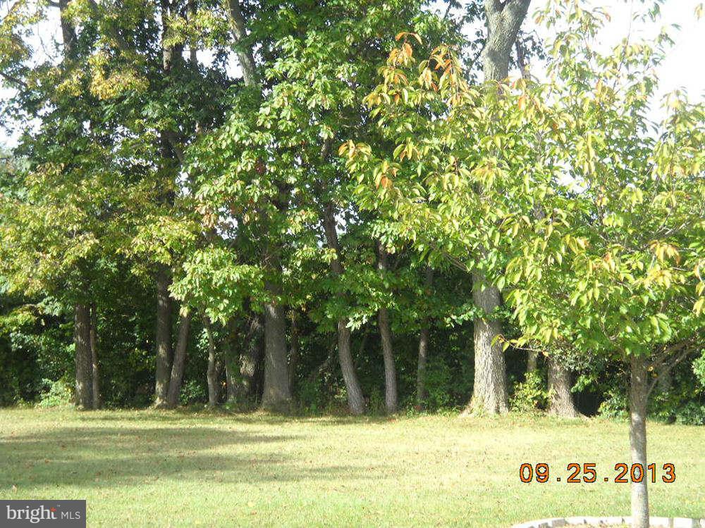 642 Doe Run Road Inwood, WV 25428 - Photo 9 of 25 View