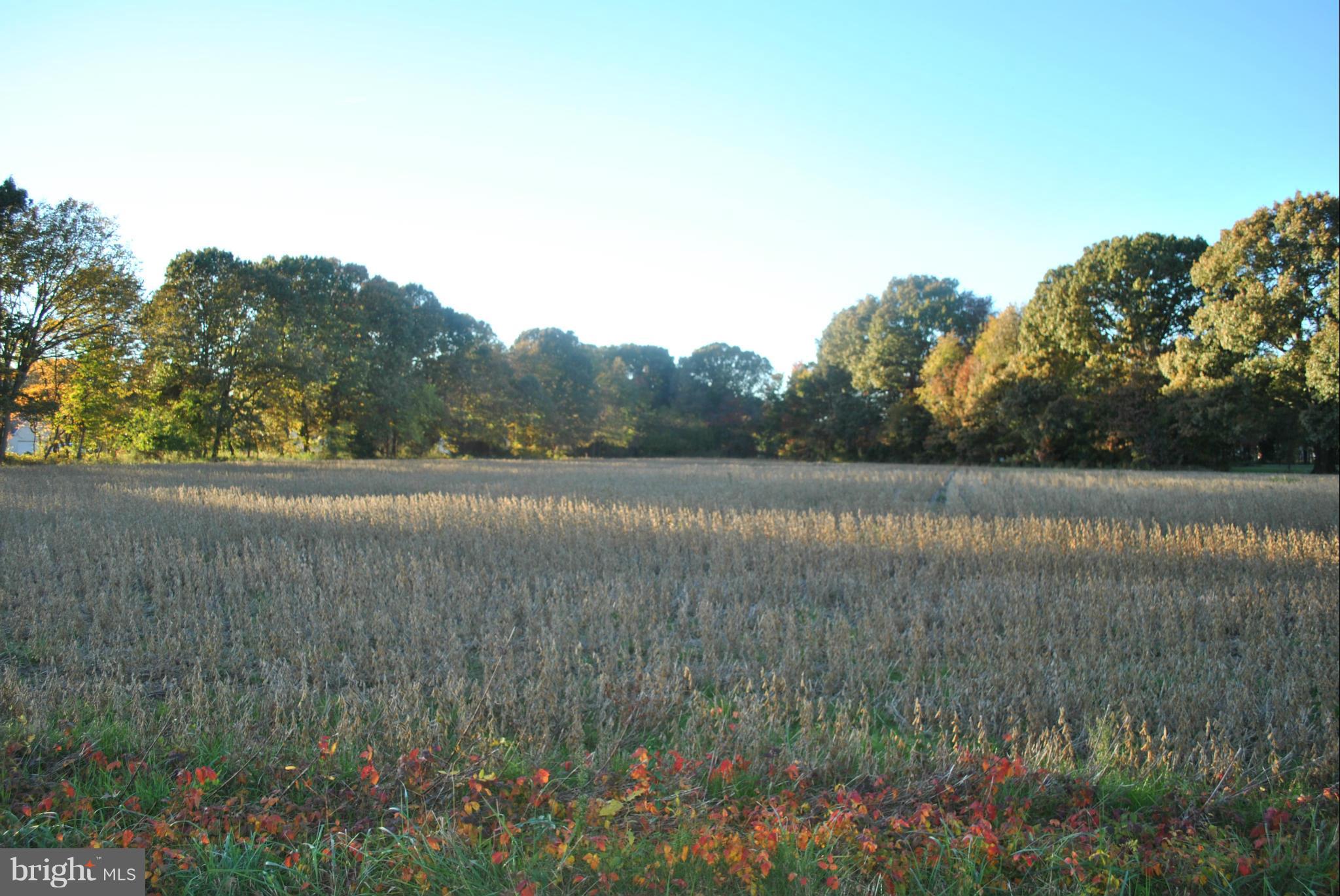 Gregory Road Easton, MD 21601 - Photo 1 of 5 Exterior (Front)