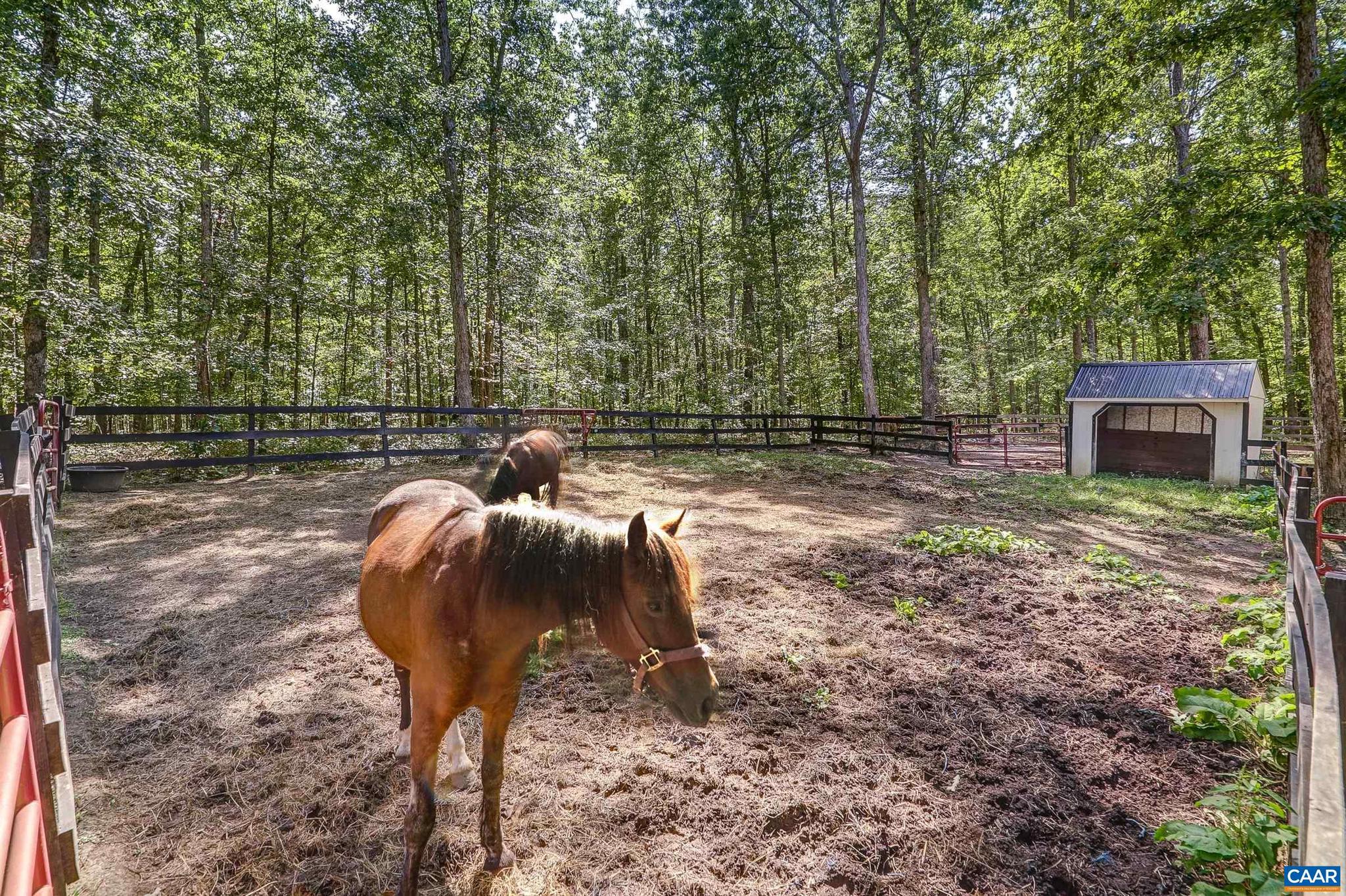550 Grace Johnson Road Kents Store, VA 23084 - Photo 65 of 67