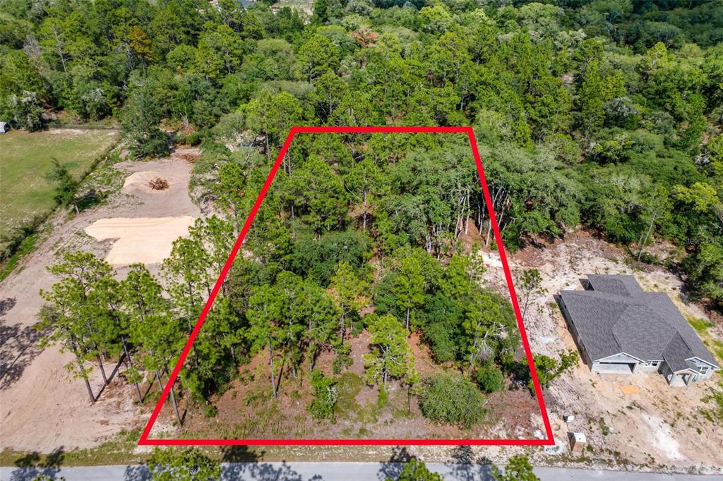 Southwest Viola Court Dunnellon, FL 34431 - Photo 5 of 9