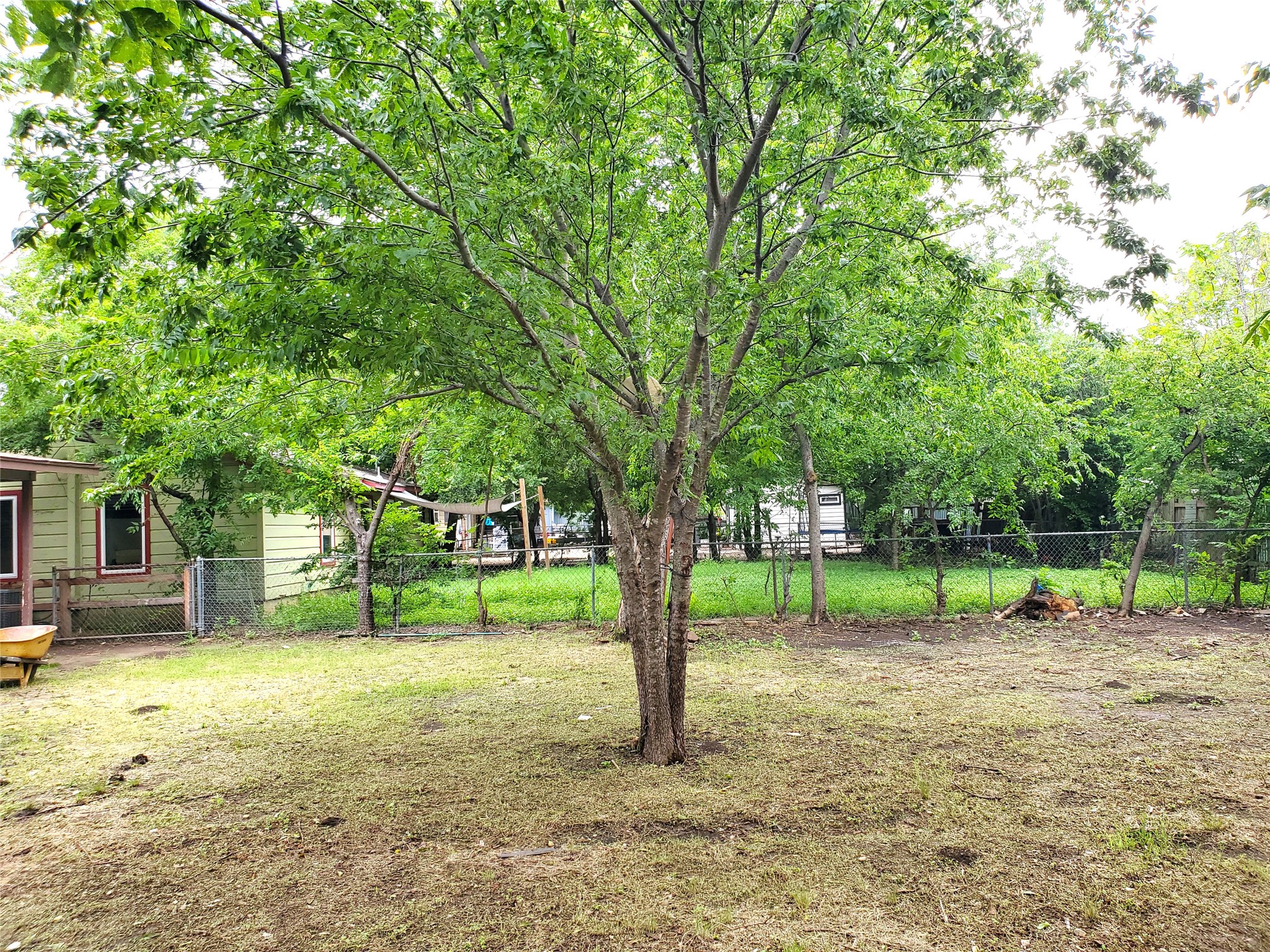 8907 Shepard Drive Austin, TX 78753 - Photo 12 of 14 a view of a yard with of trees