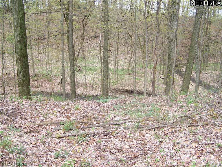 4191 Congress Road Wooster, OH 44691 - Photo 5 of 15