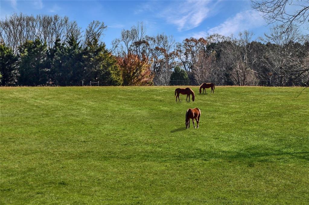 21 Willow Woods Road Social Circle, GA 30025 - Photo 2 of 49 a view of a park